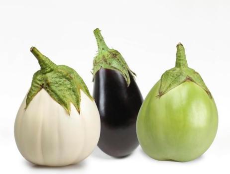 Can You Overwinter Eggplant