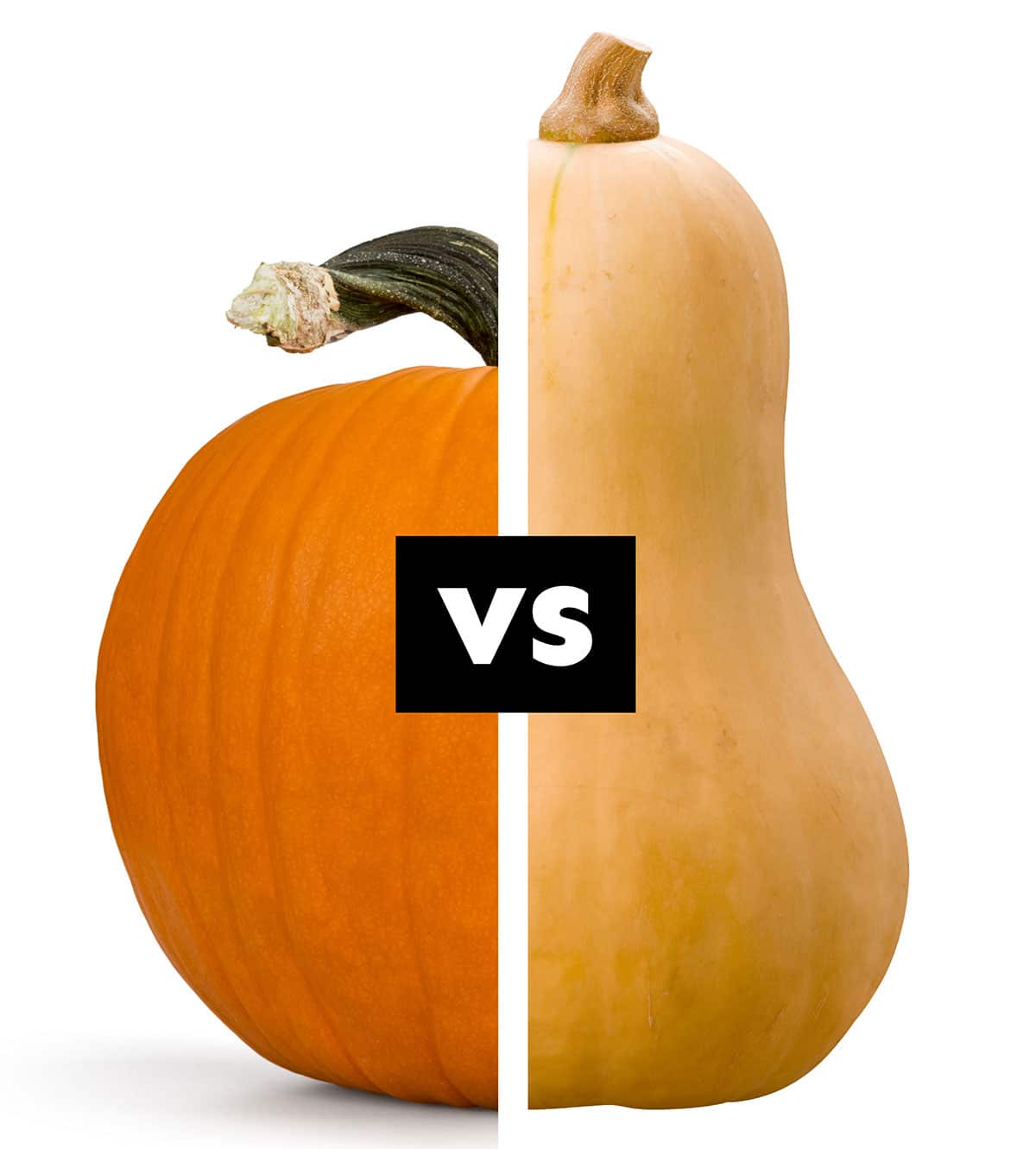 Difference between Zucchini And Pumpkin Leaves